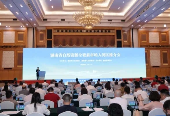 湖南省自然资源全要素市场入湾区推介会举办