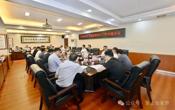 王洪斌专题调度宜冲桥水库工程前期工作