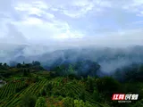 汝城县：红绿相映民宿美