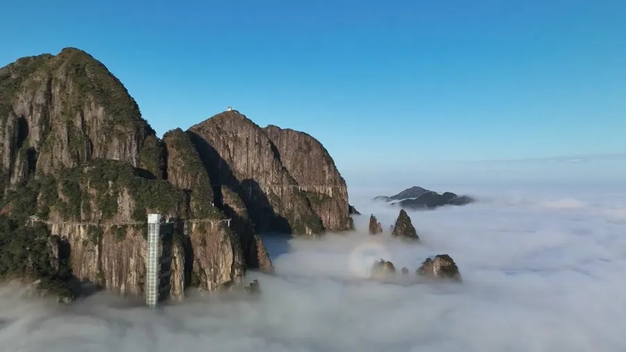 这夏 郴州正凉快 | 莽山：登一座不用爬的山 觅一处不必寻的凉